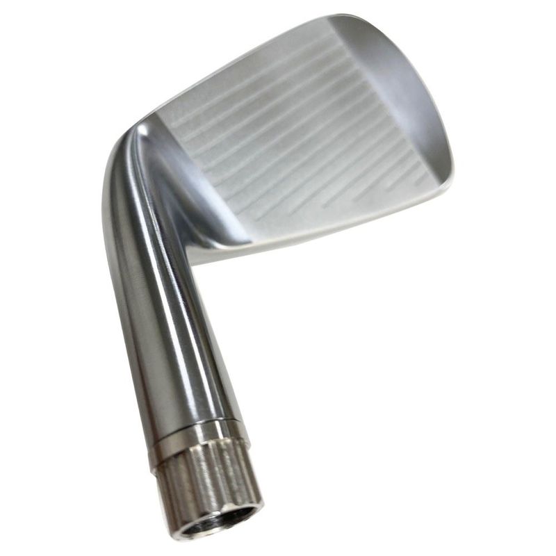 Le logo de l'OEM de haute qualité de la grenouille Golf Iron Club Golf Head Entertainment 245g-295g de fer