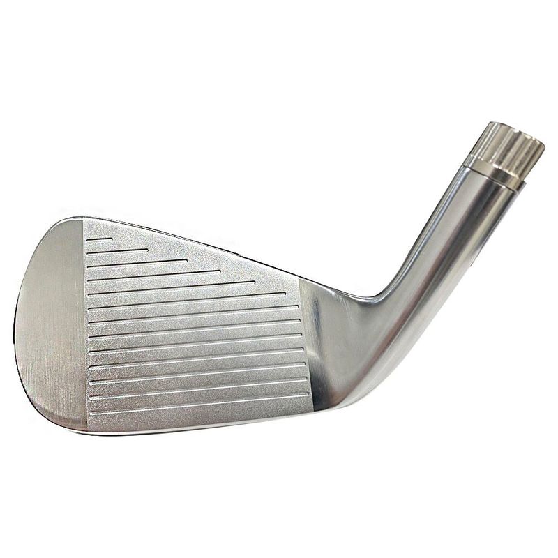 Le logo de l'OEM de haute qualité de la grenouille Golf Iron Club Golf Head Entertainment 245g-295g de fer