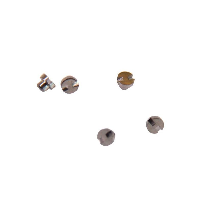 Montres accessoires Lugs en acier inoxydable Hardware de précision Le tour automatique accessoires Ceinture connecteur